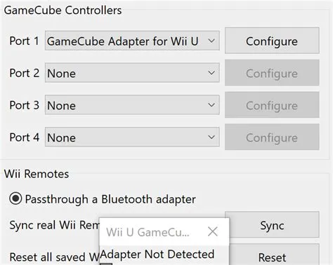 Why doesn t dolphin detect my gamecube adapter