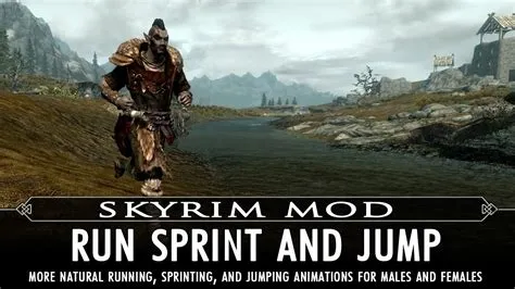 Does skyrim se run better