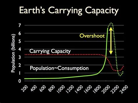 What is the maximum carrying capacity in eso