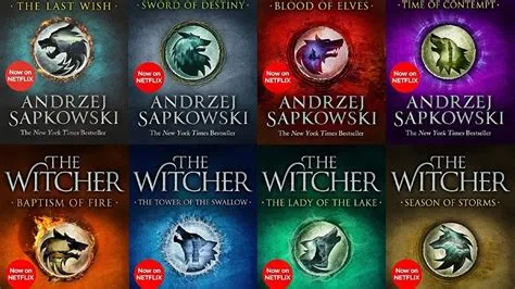 Can you understand the witcher without reading books