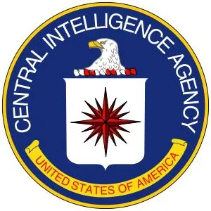 What does ddo mean in cia