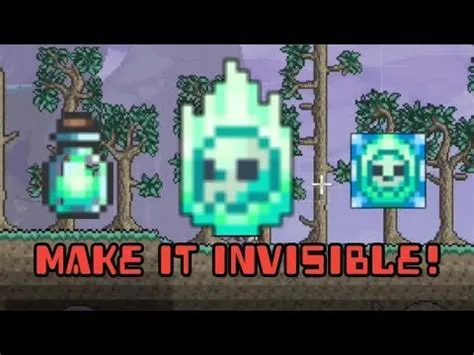 Why is my pet invisible in terraria