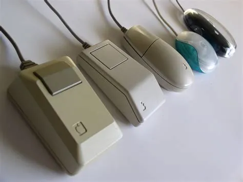 How old is the first mouse