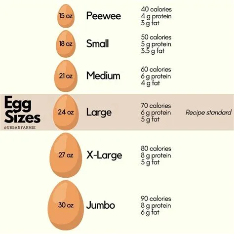 What are the egg sizes by grams