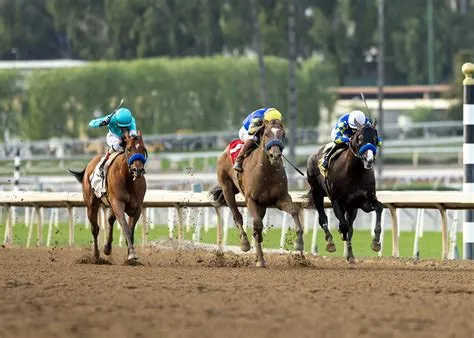 What is a trifecta in horse racing