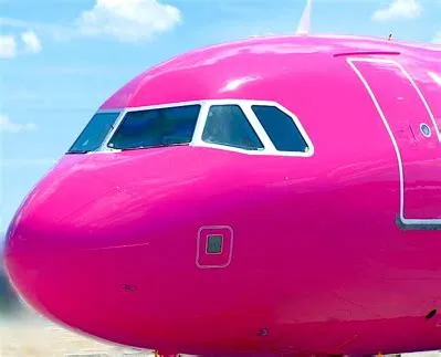 Who owns a pink plane