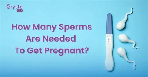 How many drops of sperm is needed to get pregnant