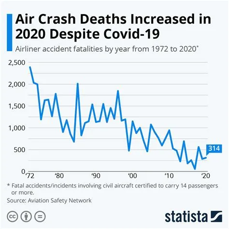 What is flight death rate