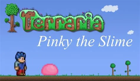 What is pinky terraria