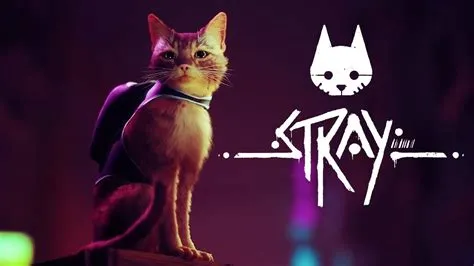 Why do people like stray game so much