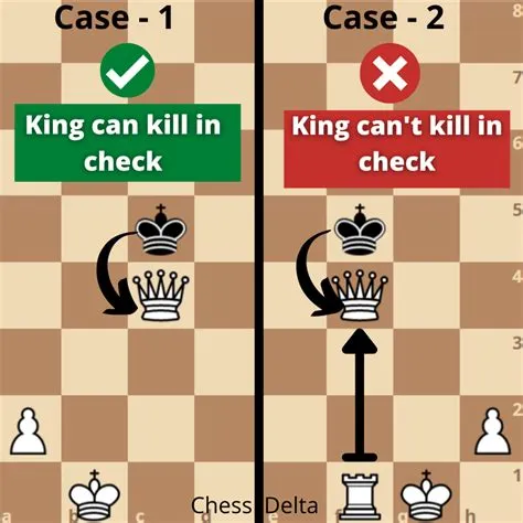 Can a king keep a check