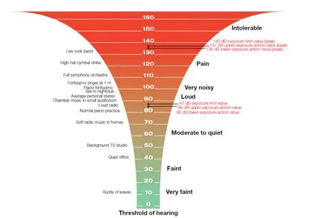 Can you scream 1100 decibels