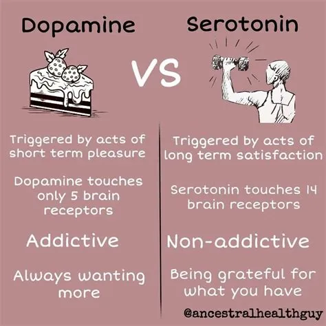 Is it dopamine or serotonin