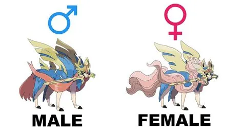 Is zacian a boy or girl