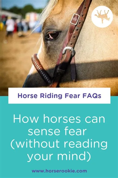 Can horses sense fear in a person