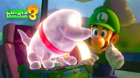 How does luigi get a ghost dog