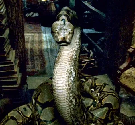 Was nagini evil