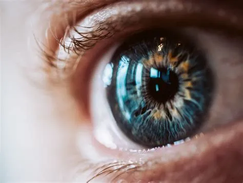 What megapixels are human eyes