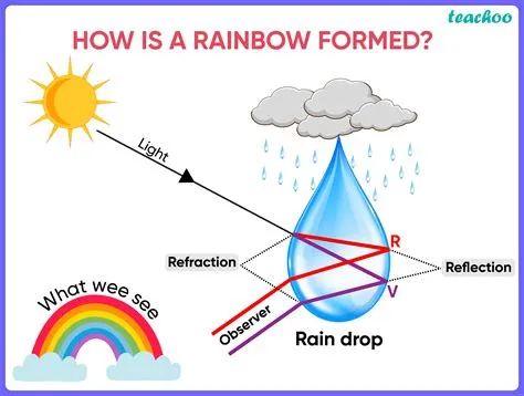 What is rainbow process