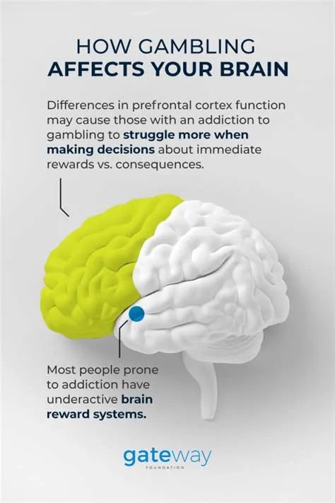 What is the effects of gambling on the brain