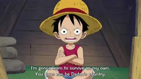 How many countries did luffy save