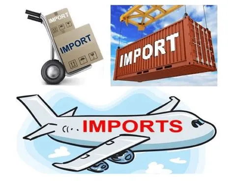 What is import example