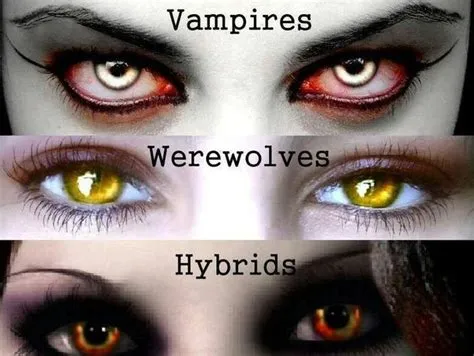 What is a half vampire half werewolf called