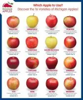 What is the difference between apple one individual and family?