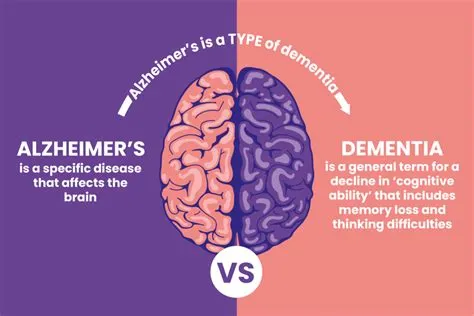 What is the difference between alzheimers and dementia