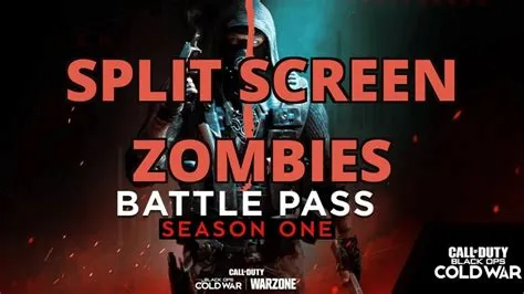 Is cold war zombies split-screen offline