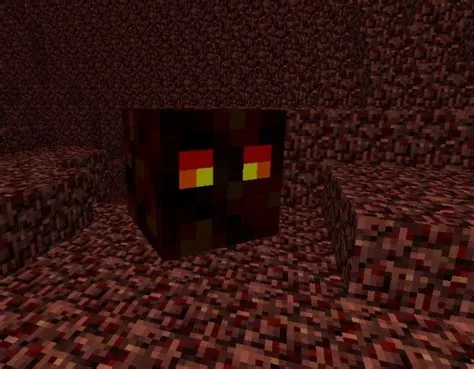 Do mobs killed by magma drop xp