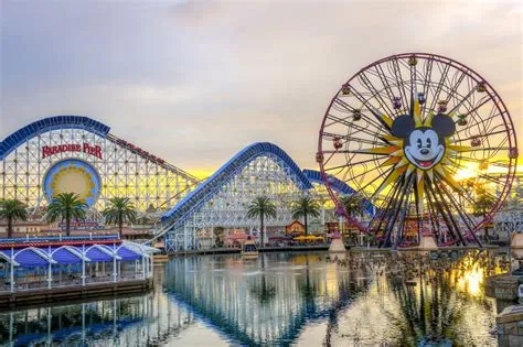 Which disney park is the best