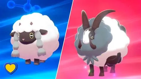 What evolves from wooloo