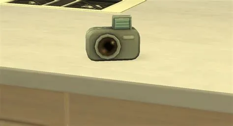 Can sims use the camera in sims 4