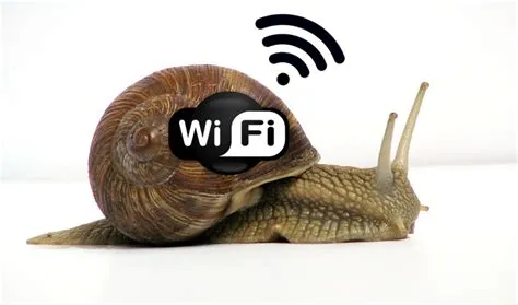 What slows down your wifi the most