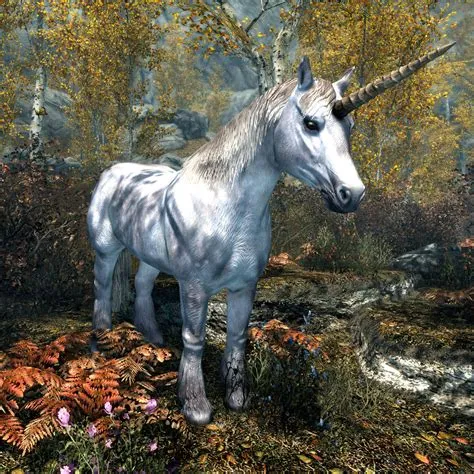 Where is my unicorn skyrim