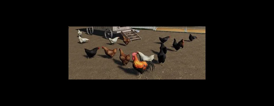 Do chickens eat in farming simulator 22