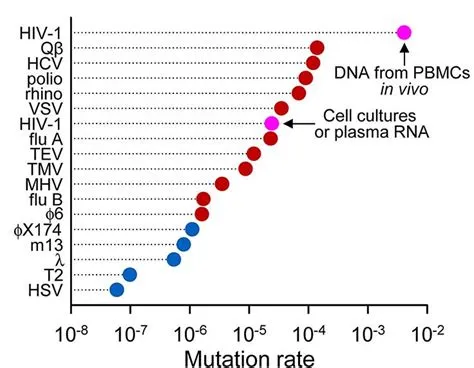 What has the highest mutation rate