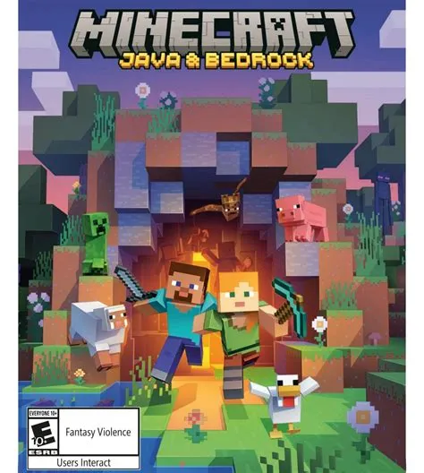 Can i play java minecraft if i bought bedrock