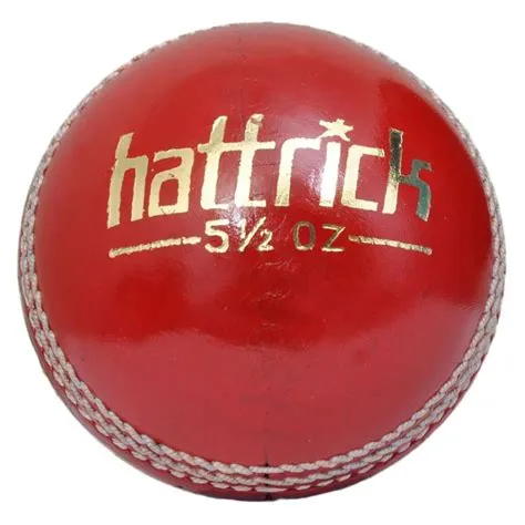 Who took hat-trick in 2 balls