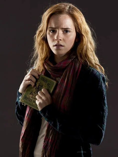 Did hermione do her 7th year