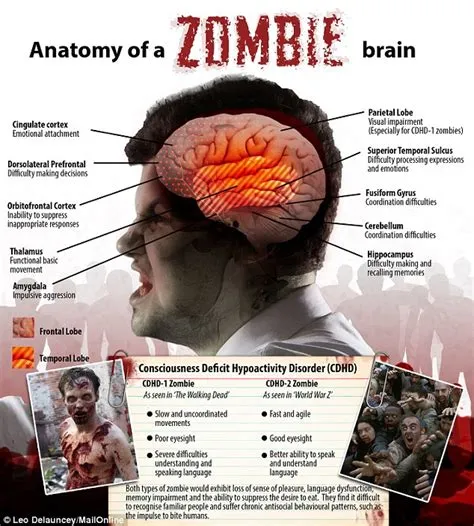 What part of the body do zombies eat