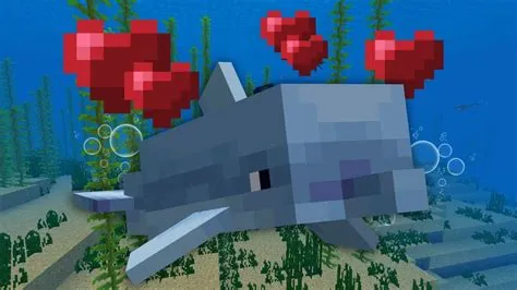 Do dolphins eat in minecraft