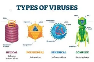 Is the mold the t-virus?