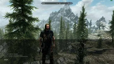 What is the noclip command in skyrim