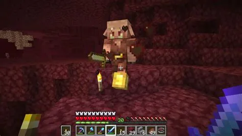 What is the pig guy in the nether