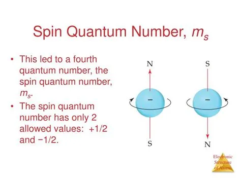 What are the possible spin numbers