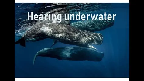 Why cant we hear underwater