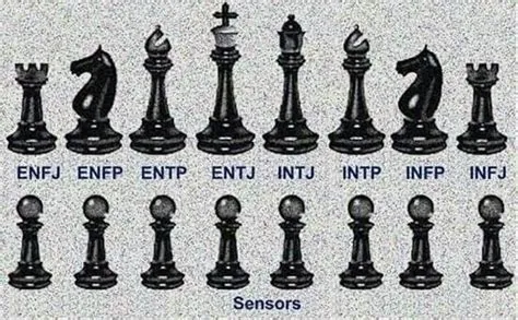 What personality type likes chess