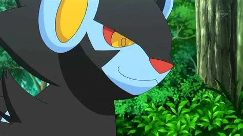 Did ash have a luxray